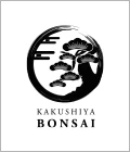 高崎市のガールズバー-KAKUSHIYA BONSAIのリスト画像【ジーチャンネル】