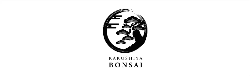 高崎市のガールズバー-KAKUSHIYA BONSAI【ジーチャンネル】