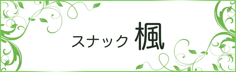 太田市のパブ・スナック-スナック 楓【ジーチャンネル】