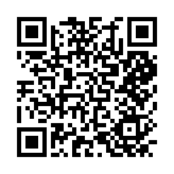 佐野市のキャバクラ-LOUNGE PHOENIX【ジーチャンネル】