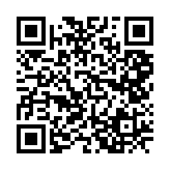 太田市のパブ・スナック-スナック sakura【ジーチャンネル】