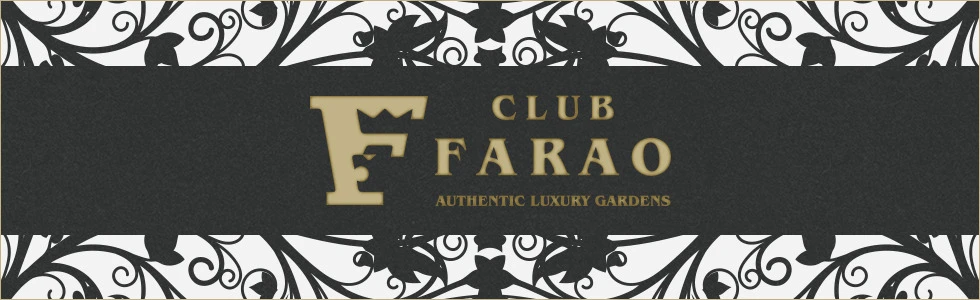 宇都宮市のキャバクラ-CLUB FARAO 宇都宮のPR画像【ジーチャンネル】